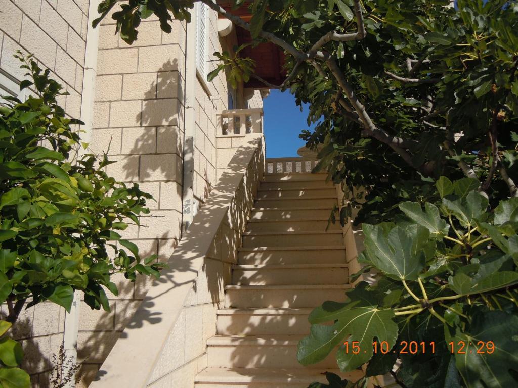 Central Apartment Dubrovnik Rum bild