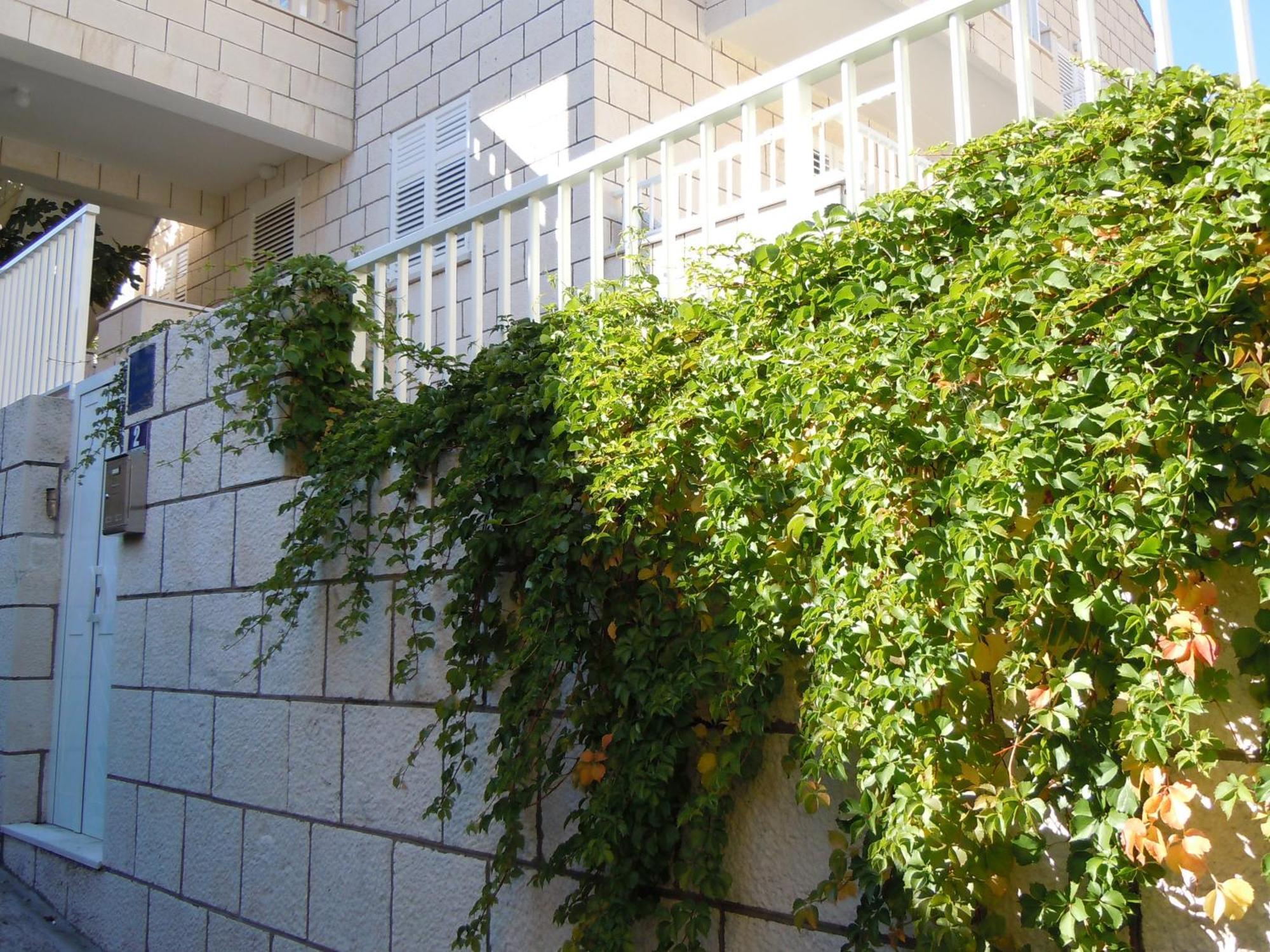 Central Apartment Dubrovnik Exteriör bild