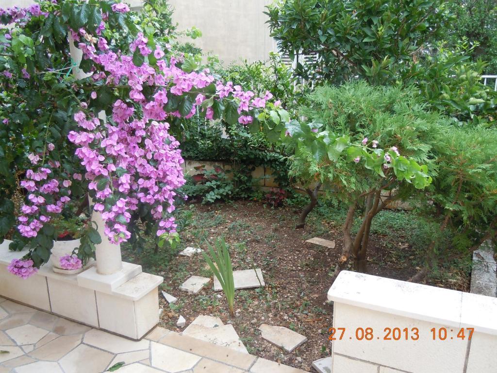 Central Apartment Dubrovnik Exteriör bild