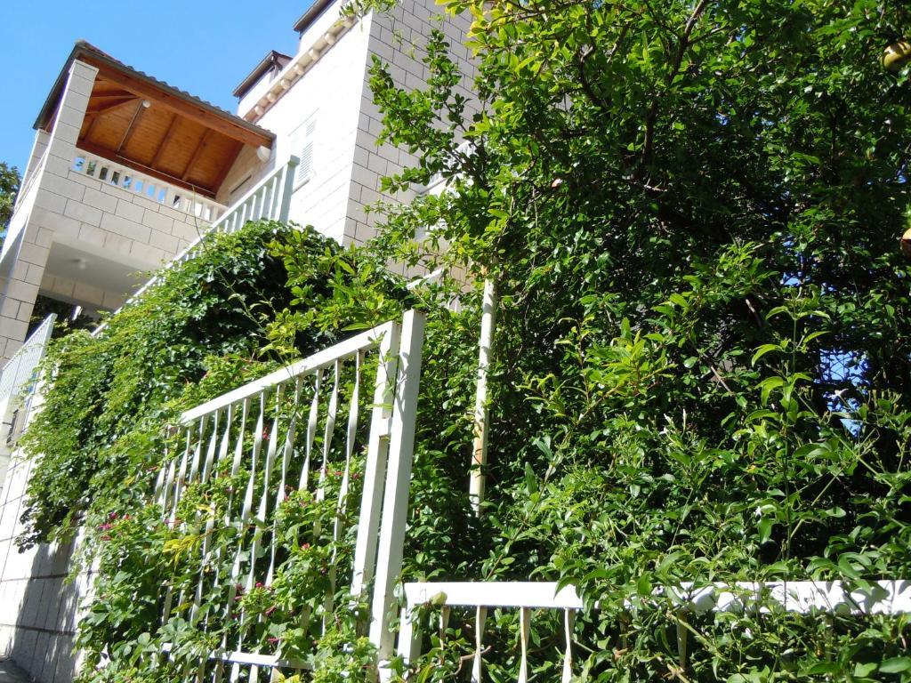 Central Apartment Dubrovnik Exteriör bild